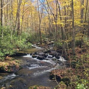 Natural Fiber Winter Live Show Feb 22,  2026